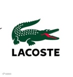 罪魁祸首的三种“鱼”！