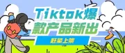 Tiktok 11月份，这些产品是爆款！赶紧上