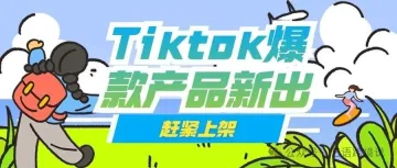 Tiktok 11月份，这些产品是爆款！赶紧上