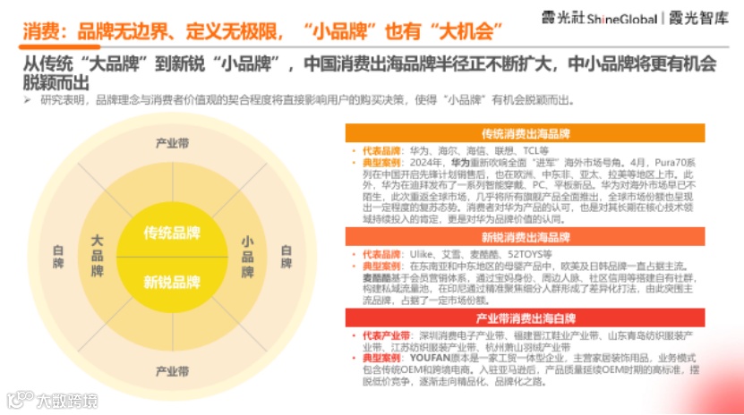 中国企业出海洞察及全球趋势展望