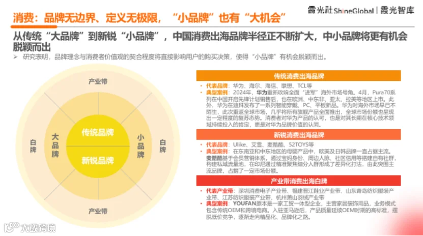 中国企业出海洞察及全球趋势展望