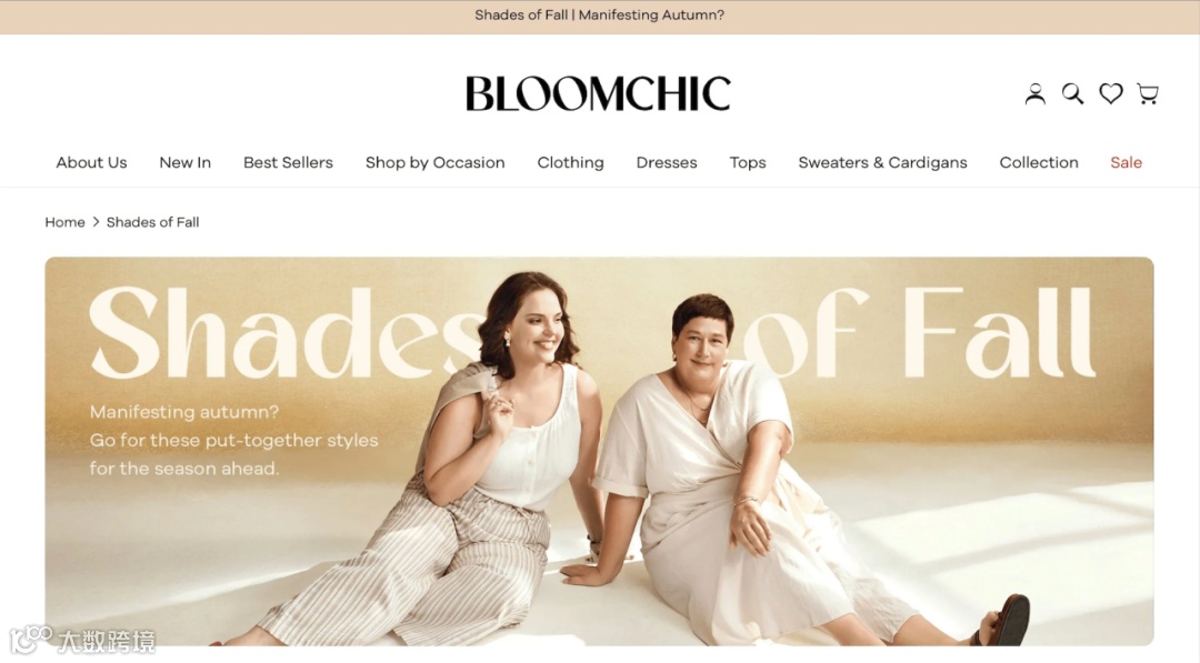 为什么你出海做大码女装不挣钱？