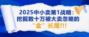 2025中小卖家第1战略：挖掘数十万被大卖忽视的‘金’长尾