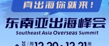 《2024东南亚出海峰会》嘉宾介绍:核心团队齐聚,共探出海新机遇!