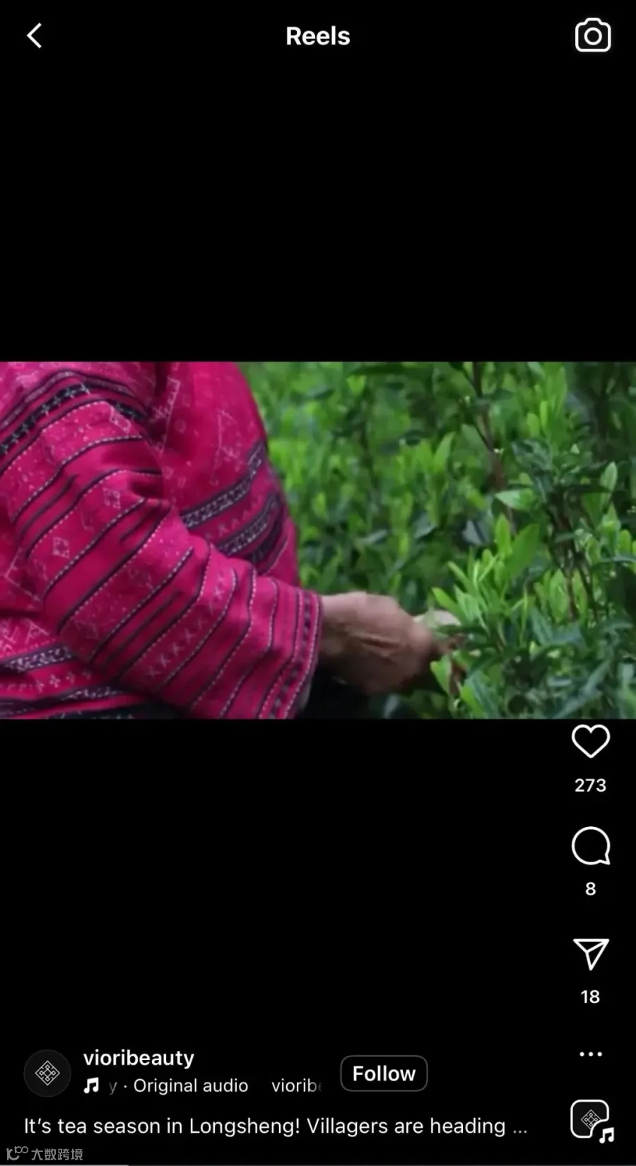 把龙胜的淘米水做成洗发皂,美国品牌Viori一年卖了一千万美元