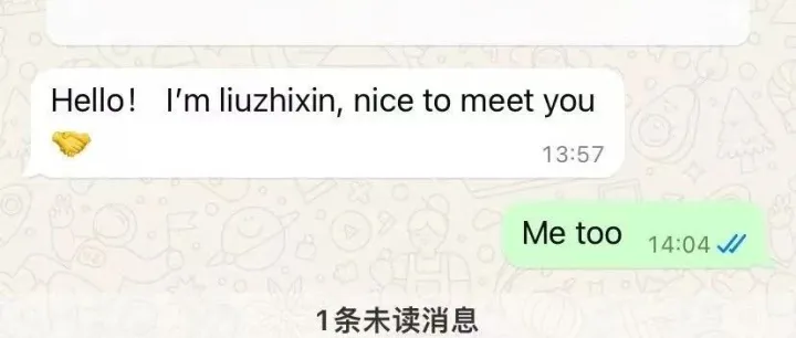 WhatsApp验证码接收难题？大陆手机号用户必看！99%成功率的全流程解决方案