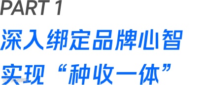 精耕社媒营销，发力达人种草！「微盟传播TEAM PRO」助力品牌实现“种收一体”