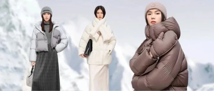 小红书种草“种”出品牌心智，「伊芙丽」如何冲破品牌增长天花板？