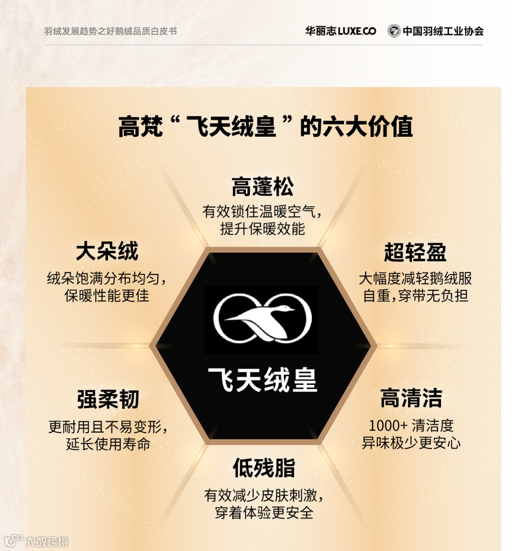 羽绒服飞丝危机下，谁还在坚守品质？