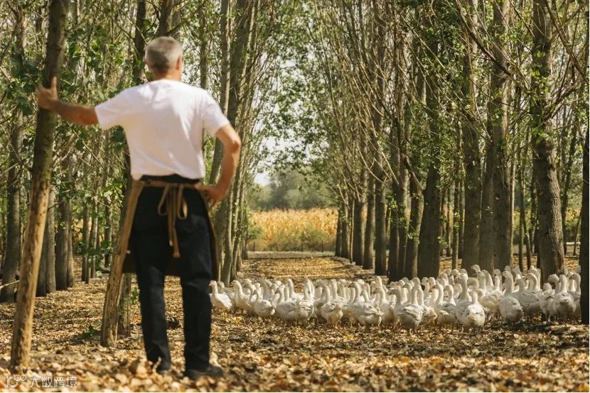 羽绒服飞丝危机下，谁还在坚守品质？