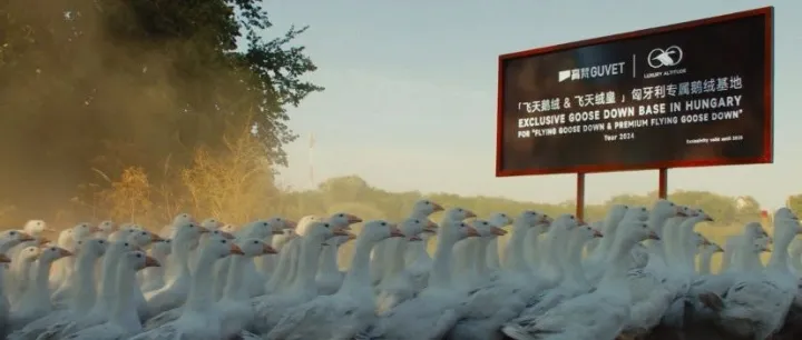 羽绒服飞丝危机下，谁还在坚守品质？