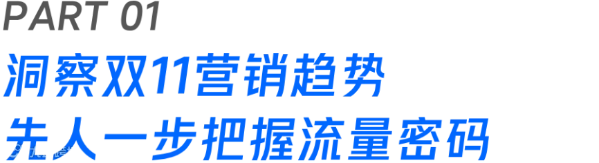 备战双11：小红书大促营销实战指南