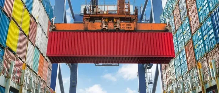 新质生产力驱动下，中国如何链接全球？