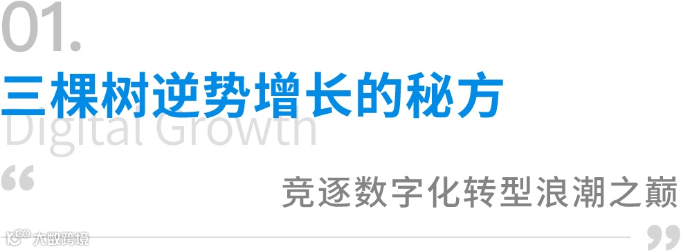 数字化经营多维突破，中国涂料头部品牌三棵树的“数字进化”之旅