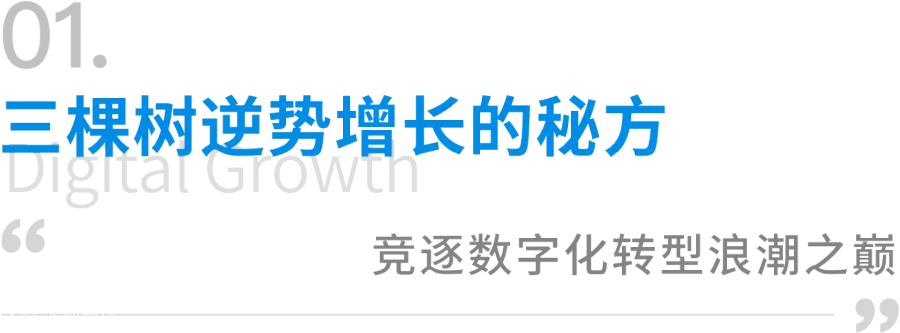 数字化经营多维突破,中国涂料头部品牌三棵树的“数字进化”之旅