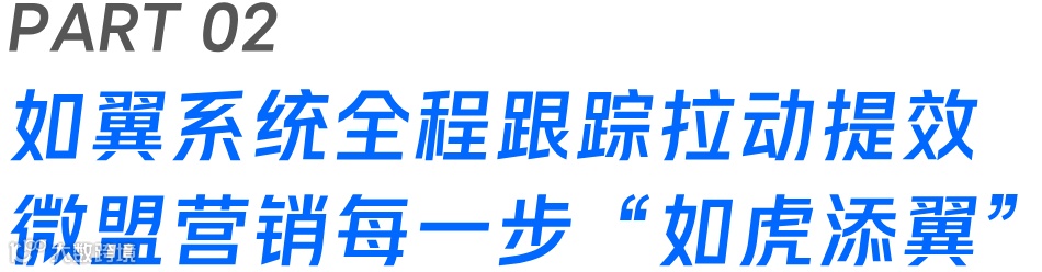 凯乐石携手微盟营销,用如翼攀登营销新高度,实现人群资产破圈增长