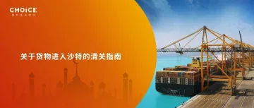 2024年沙特海关有哪些新规定？清关有什么特别注意点？今天一次性讲清楚！