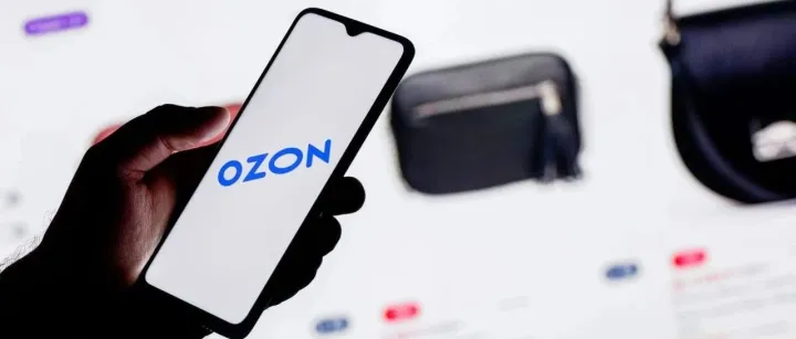 Ozon商品的状态和可售数量