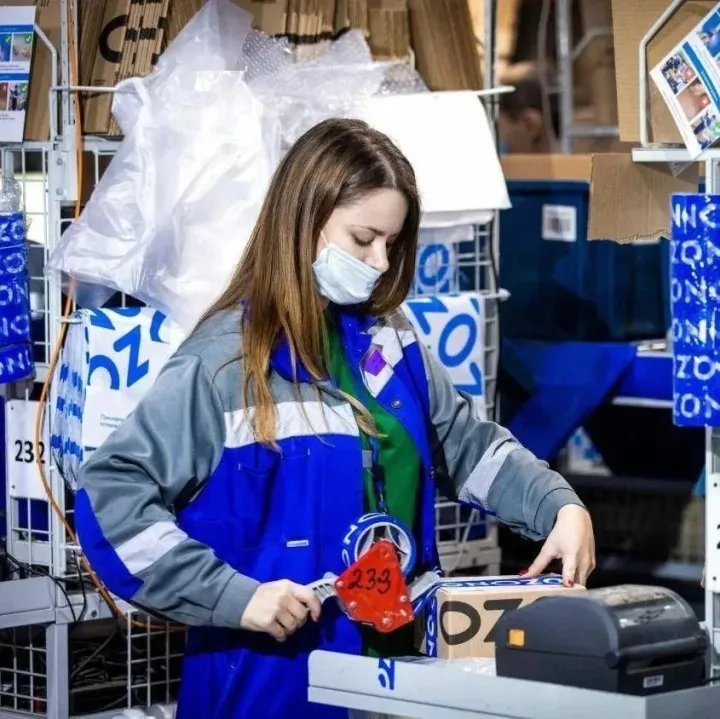 OZON电商平台新规与应对策略