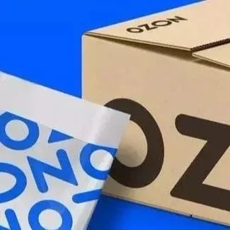 OZON电商平台超小件产品的机遇与挑战