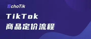 如何为TikTok商品科学定价？EchoTik上线TikTok在线计算器！