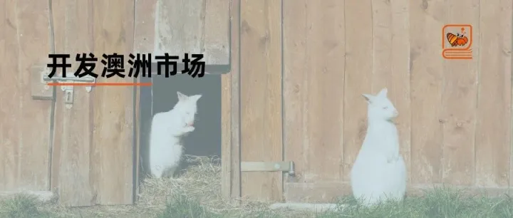 我是如何拿下澳洲客户的