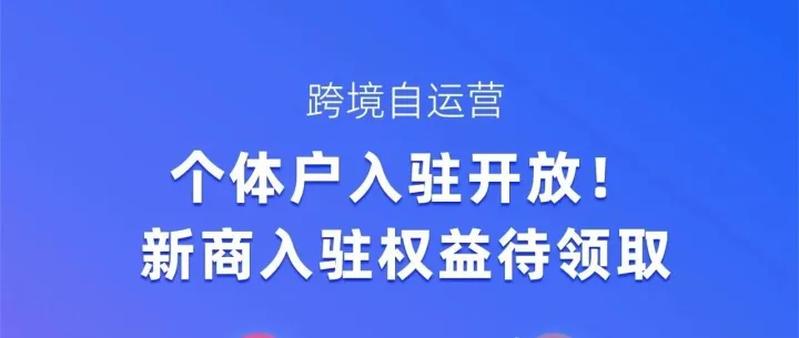 Lazada注册快速绿通支持个体商户
