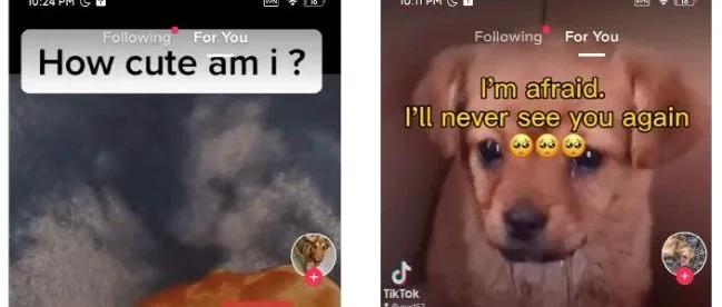 Tiktok爆款视频剪辑底层逻辑