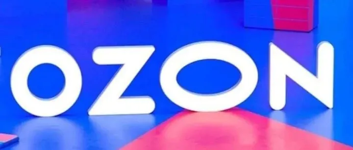 OZON操作教程 : 从介绍到掌握的实战指南