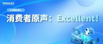 不再需要“转人工”？这个黑五，AI客服凭何让消费者惊呼“Excellent”？