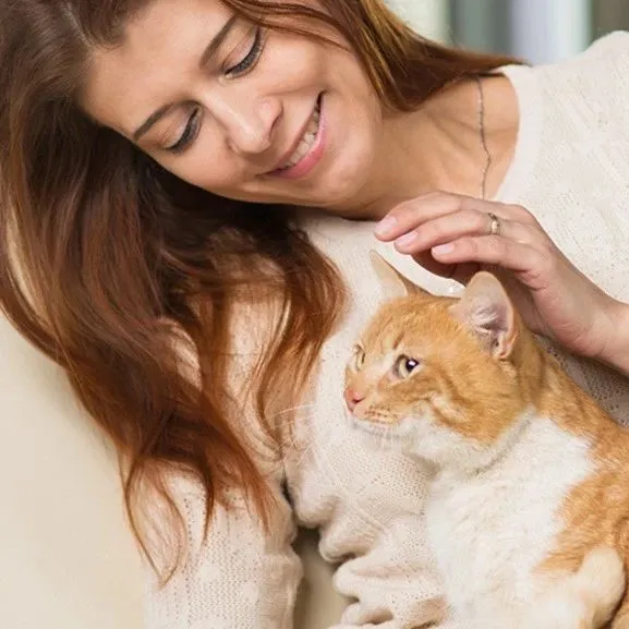 【宠物喂食器市场选品报告】