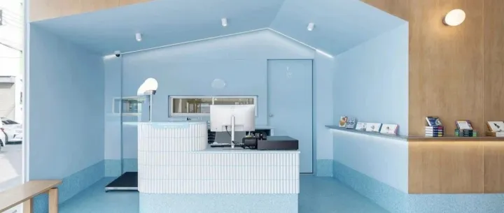 关店、闭店，宠物医院仍在寒冬