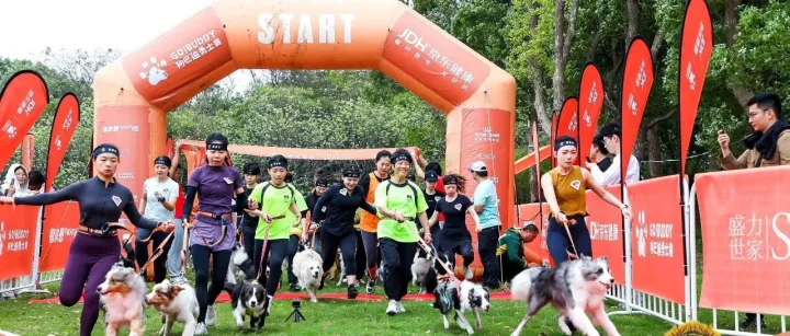 “校园喵拆蛋行动”初亮相，皇家携手京东健康提升流浪犬猫福祉