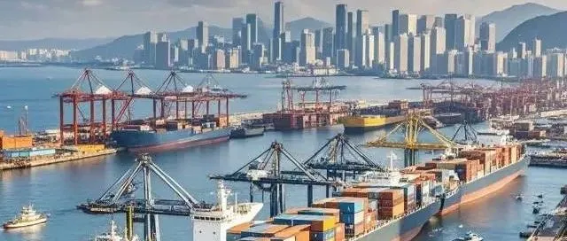 月销超2.1亿元，这些宠物产品在海外卖爆了