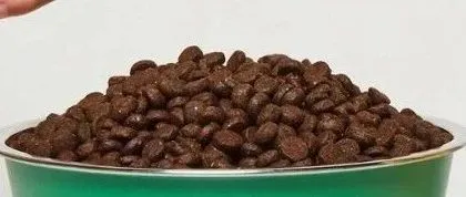 年销120吨！这家昆虫蛋白宠物品牌获得融资