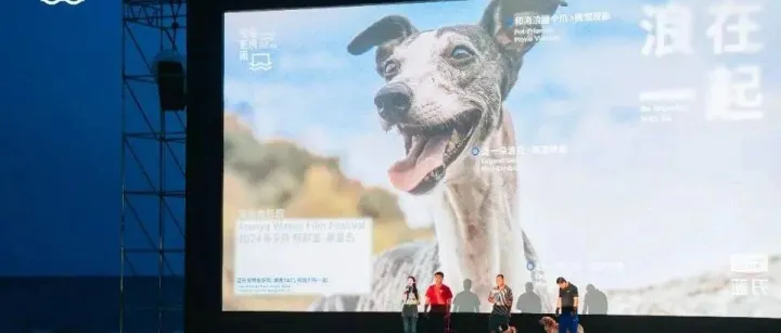 联 “动” 双伙伴，蓝氏与海浪电影周、花间堂共绘人宠和谐新画卷