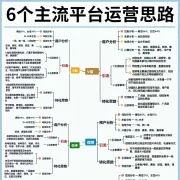 6个主流平台运营思路，请收藏！