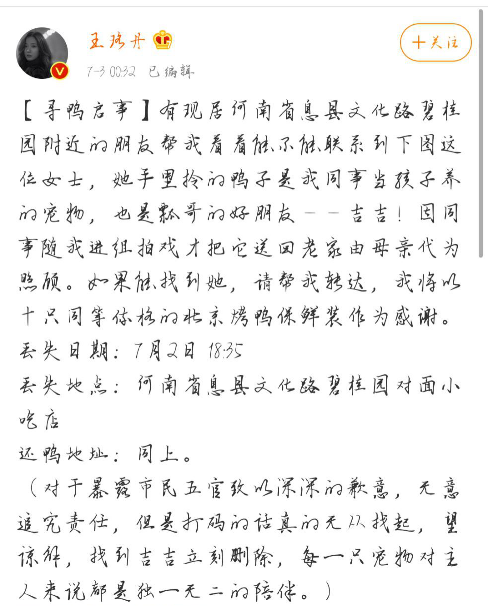 为什么这只宠物鸭能霸占热搜这么久?_大数跨境|跨境从业者专属的媒体平台