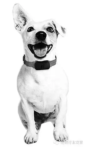 日本INUPATHY传感器可分析犬精神状况