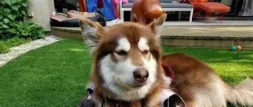 这家公司偷偷抢注了王可可、回忆专用小马甲等商标