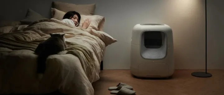 知名宠物智能用品品牌有陪被曝疑似倒闭，现实情况如何？