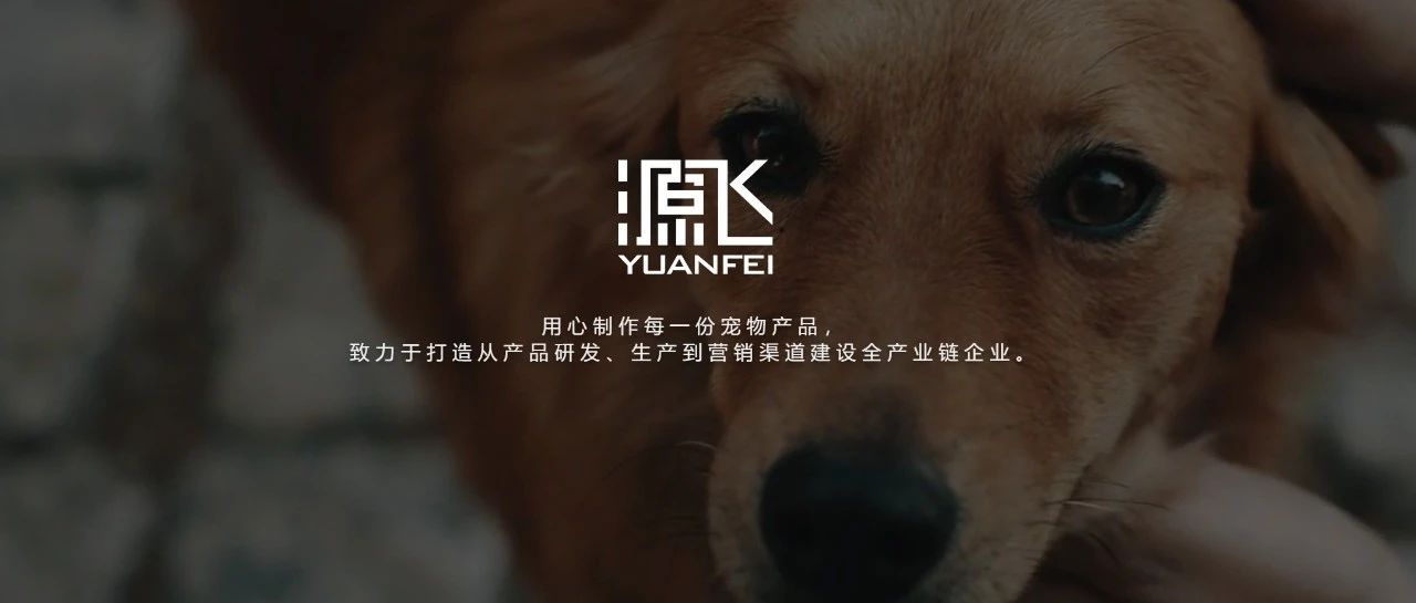 源飞宠物IPO过会,拟募资4.09亿元提高产能及研发运营能力_大数跨境|跨境从业者专属的媒体平台
