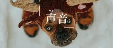 声音丨它经济升温背后,宠物行业原料短板情况逐渐显露
