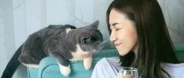 京东大数据：90后宠物主对清洁类家用电器更为青睐