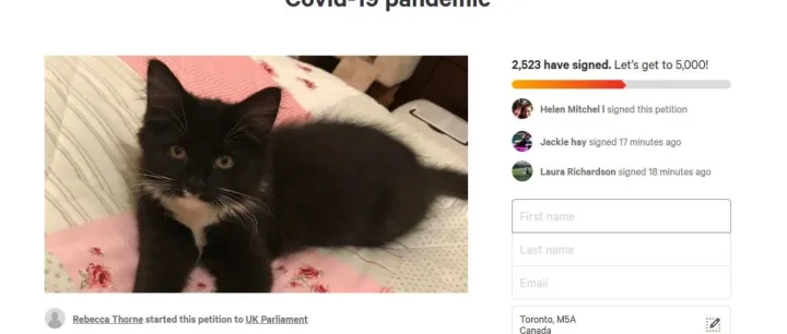 断货，消毒，远程办公，海外宠物市场正在重演国内公司的遭遇……