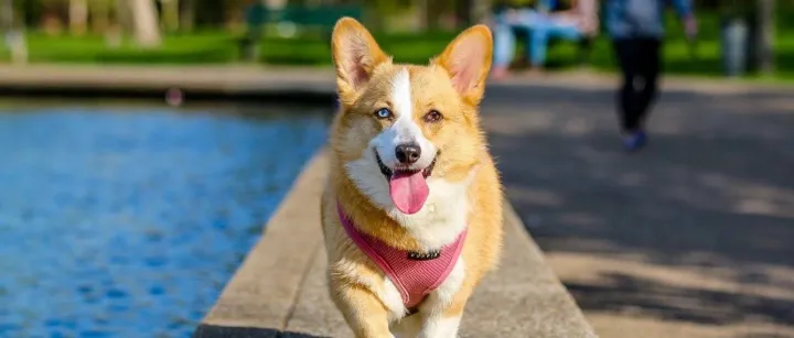 希尔斯背上了超26亿美元集体诉讼