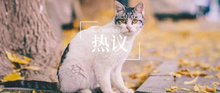 热议丨即时零售，是宠物品牌和门店的新出路吗？