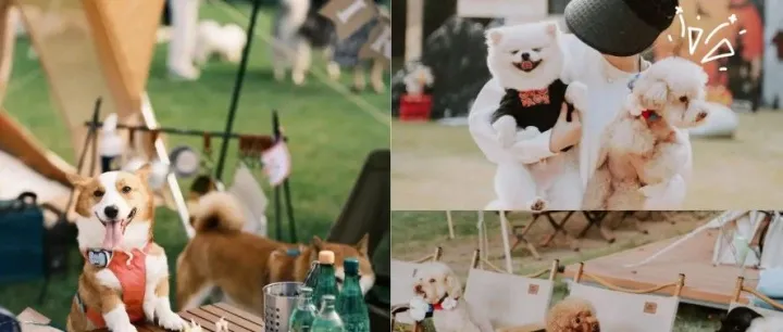 TOPS将携手ISPO，打造它博会两大特色专区