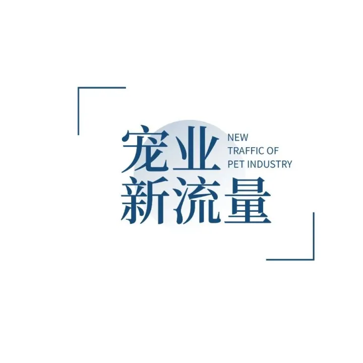 这五个宠物达人中，有一只长期生活在泰国清迈的猴小萌｜宠业新流量