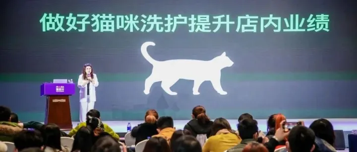 解析猫咪低压洗护流程｜笔记